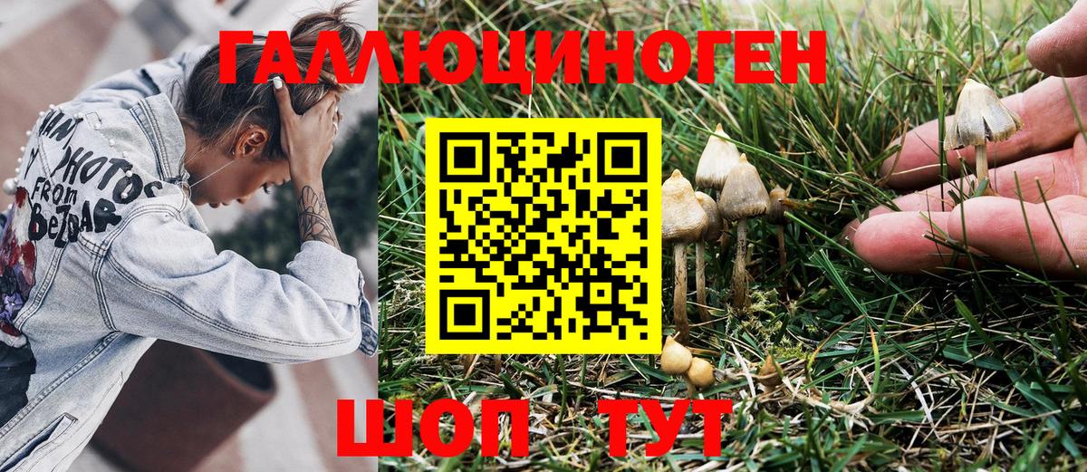 Лосино-Петровский  Галлюциногенные грибы Magic Shrooms  Псилоцибиновые грибы Psilocybine cubensis  Вход с VPN 